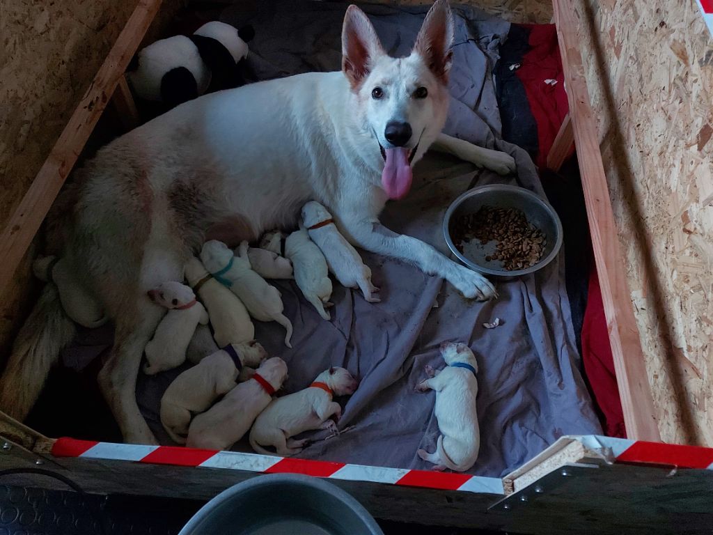 une naissance très attendue 