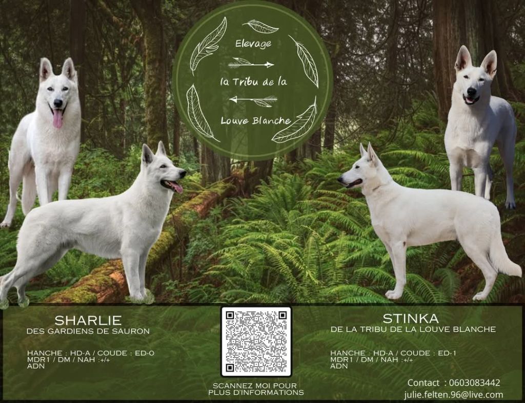 Porter 2024 Stink× Sharlie
